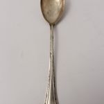 877 9479 SPOON